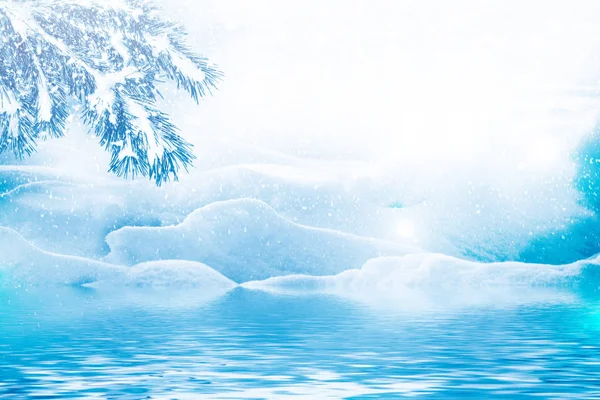 Bevroren Winter Bos Met Sneeuw Bedekt Bomen Pine Tak — Stockfoto