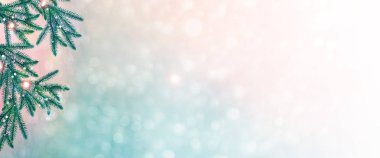 Karla kaplı ağaçlarla donuk kış ormanı.