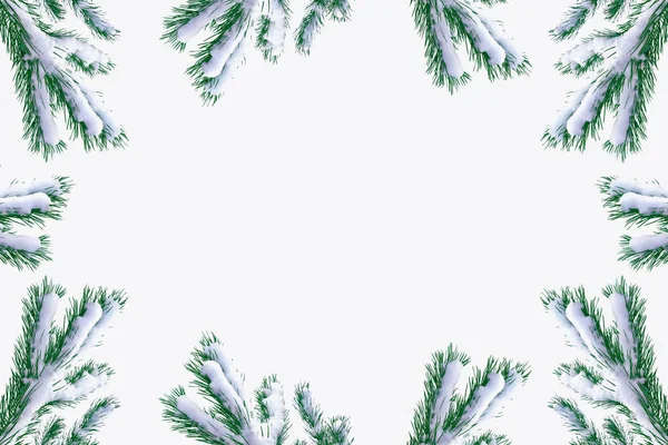 Zasněžené Stromy Jedle Větev Izolovaných Bílém Pozadí — Stock fotografie