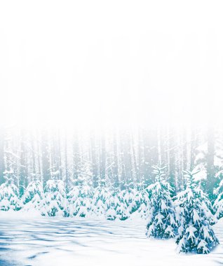 Arka plan bulanık. Karla kaplı ağaçlar donmuş kış ormanı.