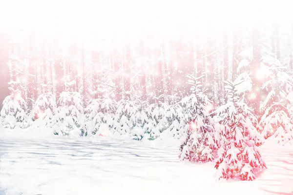Rozmazané Pozadí Zmrazené Zimní Les Sněhem Pokryté Stromy — Stock fotografie