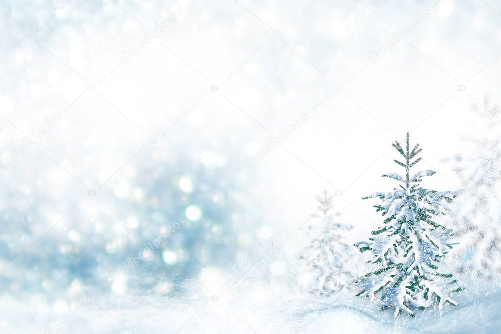 Blurred background. Frozen winter forest with snow covered trees.