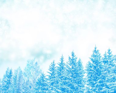 Arka plan bulanık. Karla kaplı ağaçlar donmuş kış ormanı.