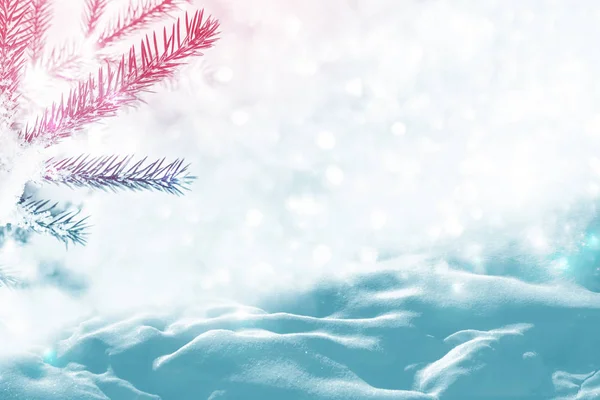 Vinterfrusen Skog Med Snö Täckt Träd Festlig Jul Bakgrund — Stockfoto