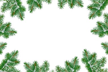 Beyaz bir arka plan üzerinde Noel ağacı dalları kar kaplı.