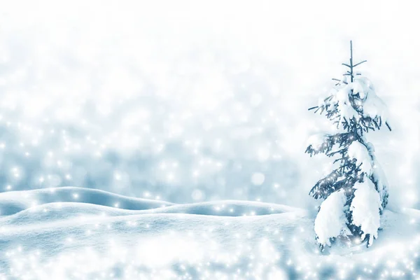 Bosque Invierno Congelado Con Árboles Cubiertos Nieve Fondo Navideño Festivo —  Fotos de Stock