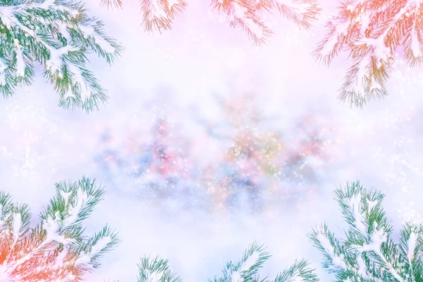 Bevroren Winter Bos Met Sneeuw Bedekt Bomen Pine Tak — Stockfoto