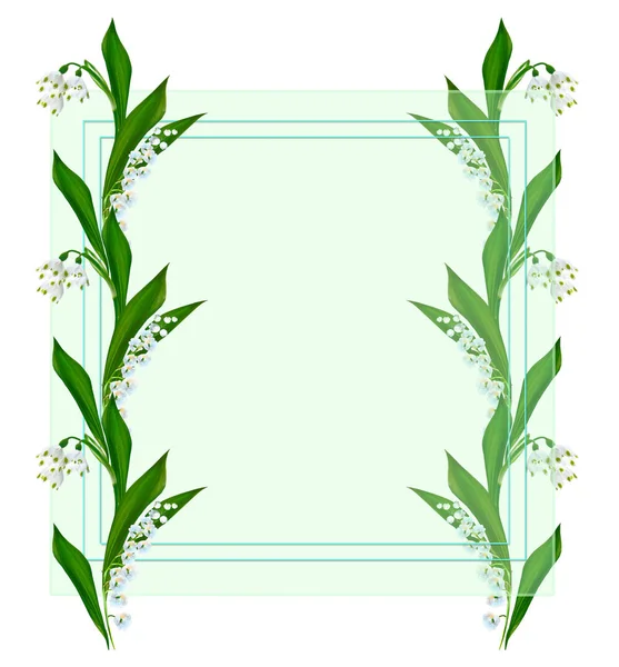 Sněženka Jarní Květina Izolovaných Bílém Pozadí — Stock fotografie