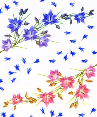 Beyaz arka plan üzerinde izole mavi çiçekler çan çiçeği