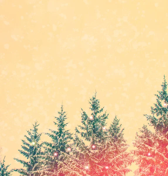 Zmrazený Zimní Les Zasněženými Stromy — Stock fotografie