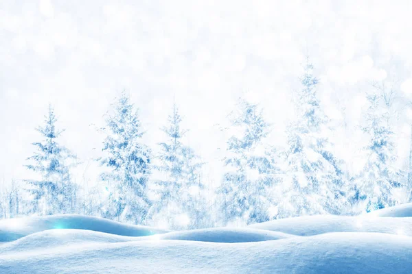 Blur Frozen Winter Forest Snow Covered Trees — Stock Photo, Image