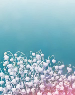 Bahar manzarası. çiçekleri vadideki zambak