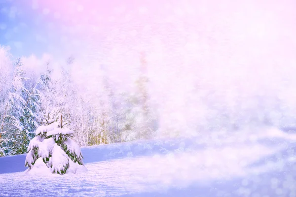 Blur Frozen Winter Bos Met Sneeuw Bedekt Bomen — Stockfoto