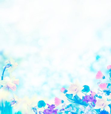 Arka plan bahar manzara parlak ve renkli çiçekler.