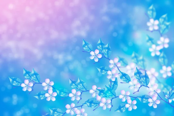 Blühende Zweigkirsche Leuchtend Bunte Frühlingsblumen — Stockfoto