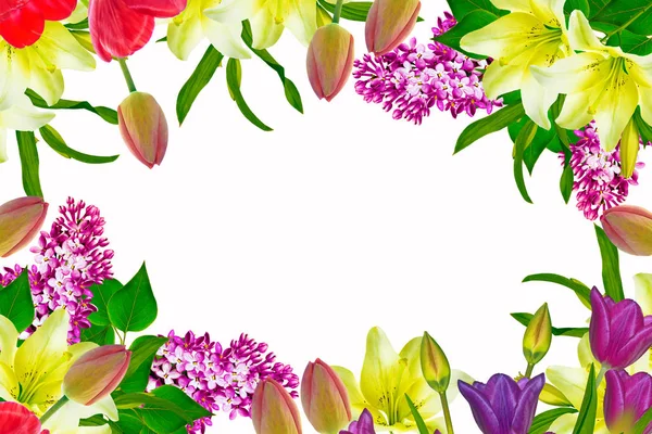 Fleurs Printanières Colorées Isolées Sur Fond Blanc Fond Floral Lily — Photo