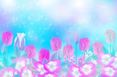 Arka plan bahar peyzaj üzerinde parlak ve renkli çiçek Lale.