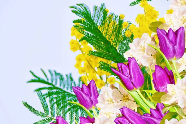 Fondo Floral Primavera Con Flores Mimosa Tulipanes — Foto de Stock