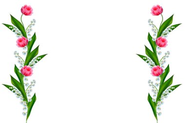 Lily vadi çiçek beyaz arka plan üzerinde. lale