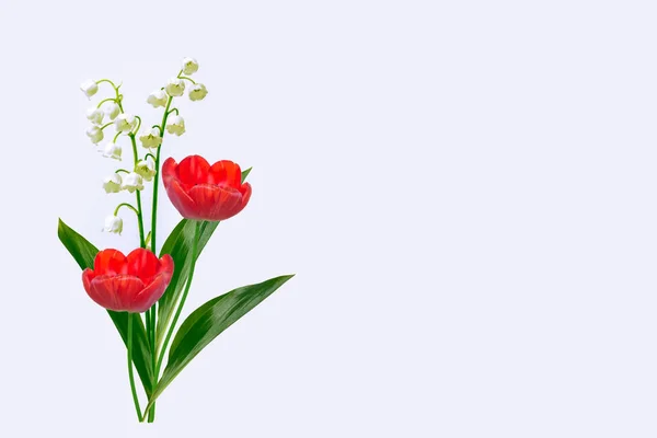 Лили Цветок Долины Белом Фоне Тюльпаны — стоковое фото
