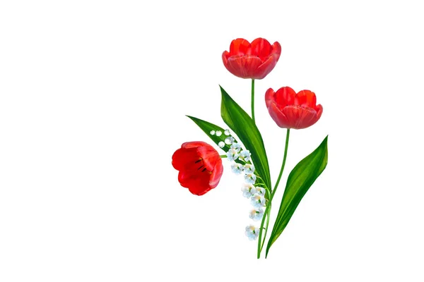 Liljekonvalj Blommor Vit Bakgrund Tulip — Stockfoto