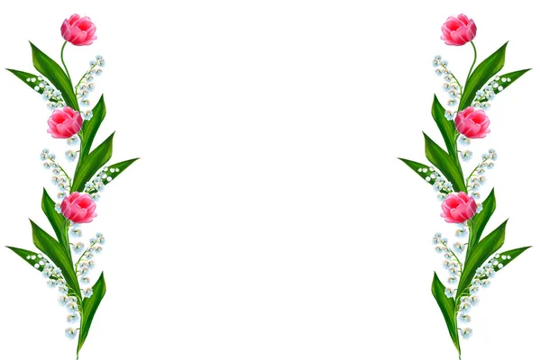 Maiglöckchen Blühen Auf Weißem Hintergrund Tulpe — Stockfoto