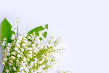 Doğal arka plan bahar çiçekleri lily vadi.