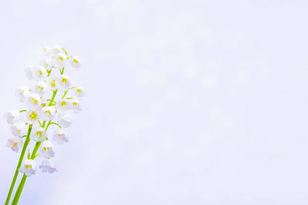 Naturalne Tło Wiosna Kwiaty Konwalii — Zdjęcie stockowe