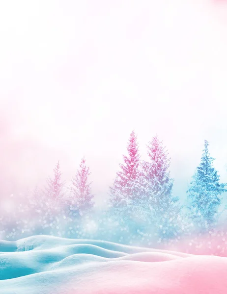 Frozen Winter Forest Snow Covered Trees — Stock Photo, Image