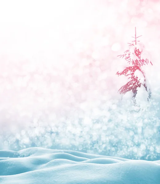 Frozen Winter Forest Snow Covered Trees Festive Christmas Background — Stock Photo, Image