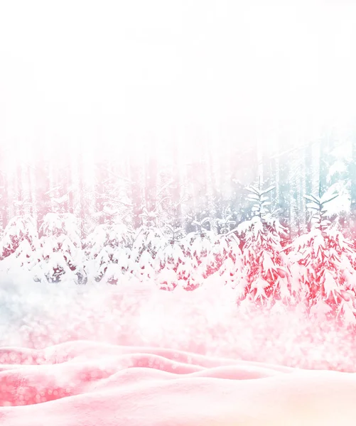 Rozmazané Pozadí Zmrazené Zimní Les Sněhem Pokryté Stromy — Stock fotografie