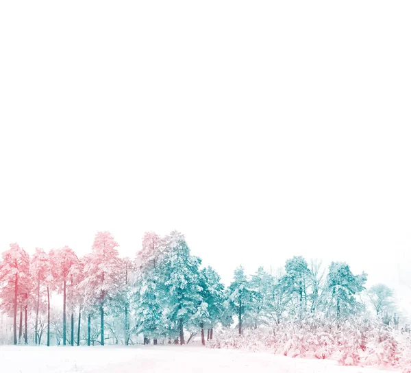 Suddig Bakgrund Vinterfrusen Skog Med Snötyngda Träd — Stockfoto