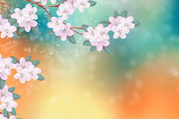 Blossoming Branch Apple Bright Colorful Spring Flowers — Stock Photo, Image