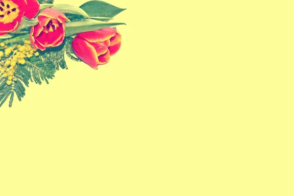 Квітковий Фон Квітами Мімоза Тюльпанів — стокове фото