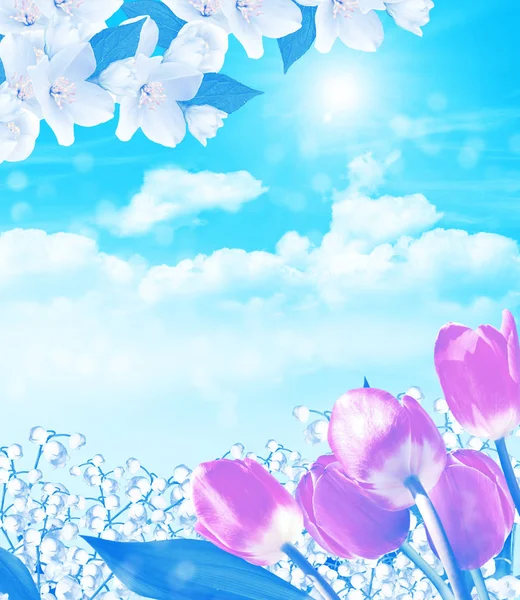 Flores Primavera Lirios Del Valle Tulipanes Contra Cielo Azul Con —  Fotos de Stock