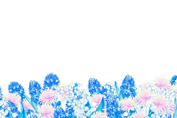 Flowers Isolated White Background — Stock Photo, Image