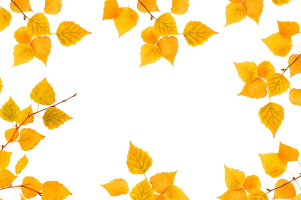 Φωτεινά πολύχρωμα φύλλα του φθινοπώρου — Φωτογραφία Αρχείου