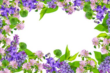 Bahar çiçek leylak 