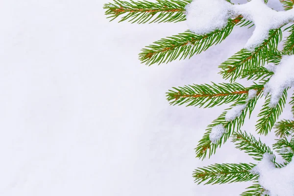 Bosque de invierno congelado con árboles cubiertos de nieve. —  Fotos de Stock