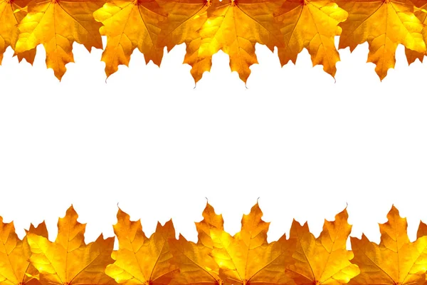 Hojas de otoño de colores brillantes — Foto de Stock