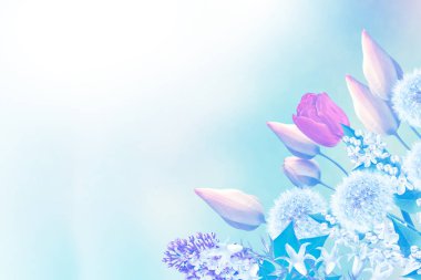 Parlak bahar çiçekleri ile çiçek arka plan.