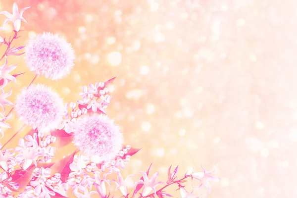 Fond floral avec des cloches de fleurs printanières lumineuses — Photo