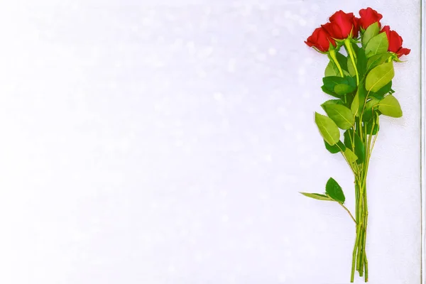 Jasny kolorowy kwiat Róża — Zdjęcie stockowe