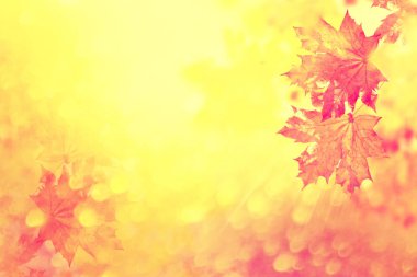 sonbahar manzara parlak renkli yeşillik ile. Pastırma yazı.