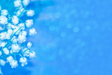 Bahar manzarası. çiçekleri vadideki zambak