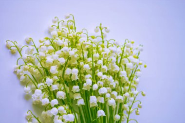 Bahar manzarası. çiçekleri vadideki zambak