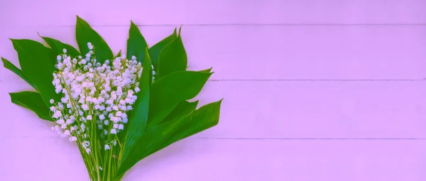 Квіти лілія долини — стокове фото