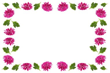 Çiçeklerin kasımpatı sonbahar renkli