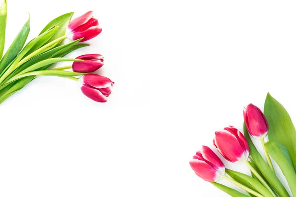 Jarní květiny tulipány — Stock fotografie
