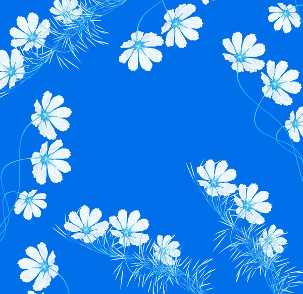 Margaridas flor de verão isolado no fundo azul . — Fotografia de Stock